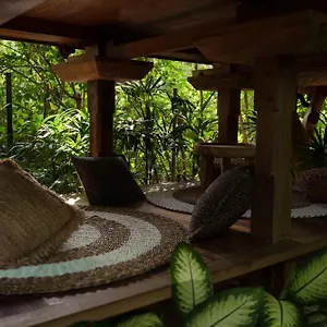 Roots Tree House Lodge